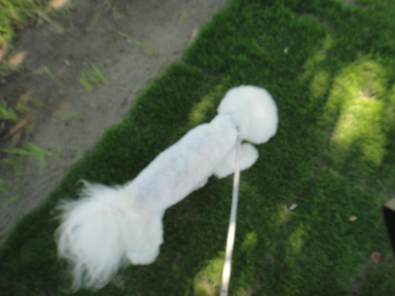f:id:cocochanman:20110712192051j:image:w500