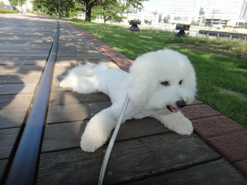 f:id:cocochanman:20110712192236j:image:w500