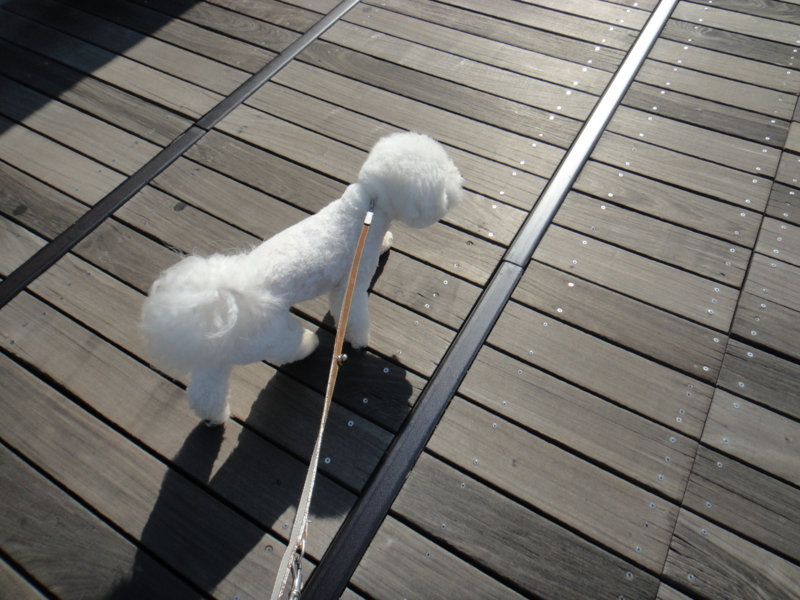 f:id:cocochanman:20110712192348j:image:w500