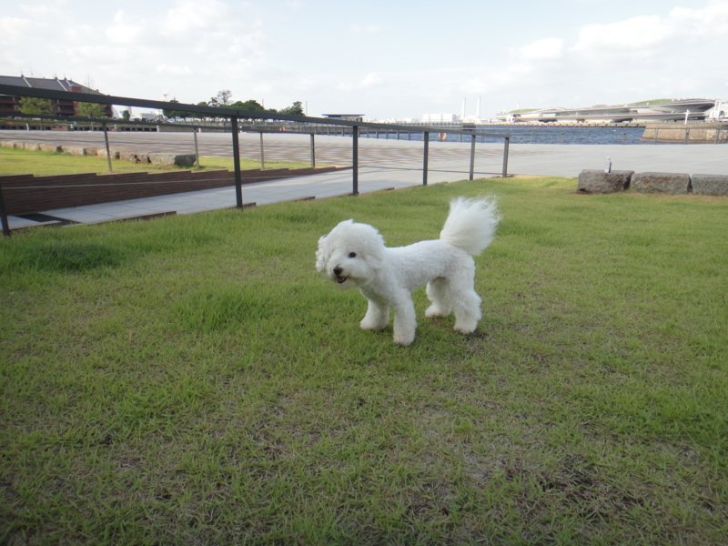 f:id:cocochanman:20110722045536j:image:w500