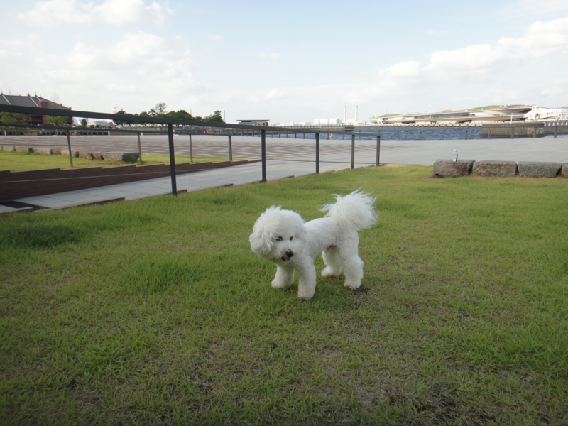 f:id:cocochanman:20110722045543j:image:w500
