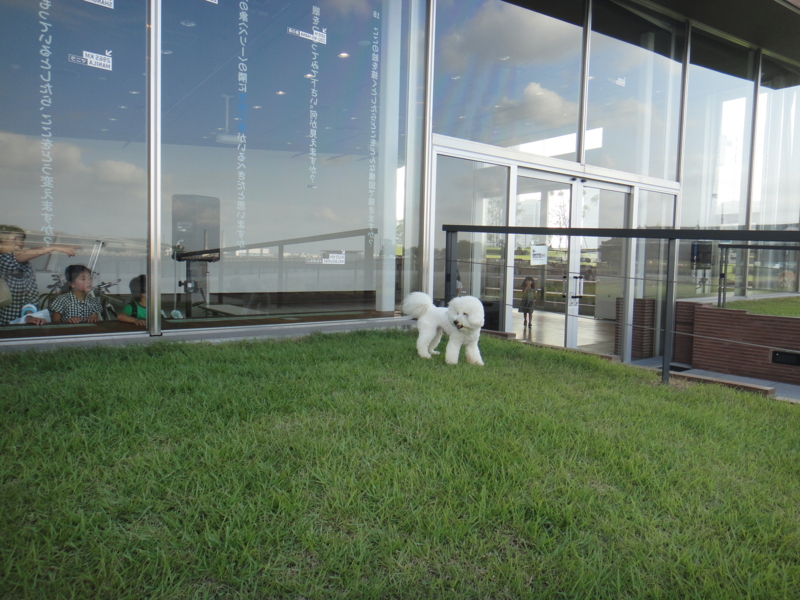 f:id:cocochanman:20110722045600j:image:w500