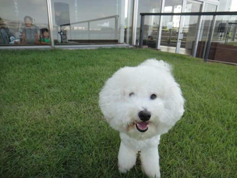 f:id:cocochanman:20110722045606j:image:w500