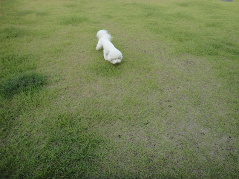 f:id:cocochanman:20110722045623j:image:w500