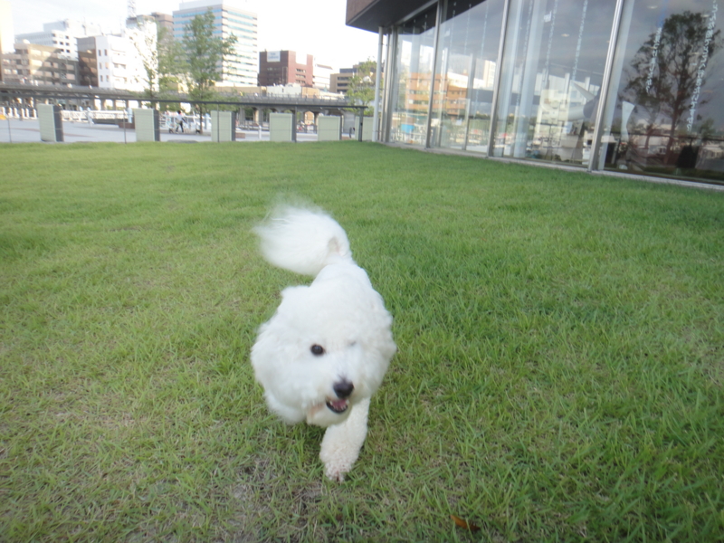 f:id:cocochanman:20110722045653j:image:w500