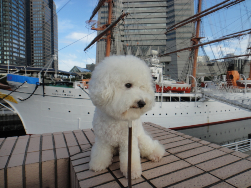 f:id:cocochanman:20110831191216j:image:w500