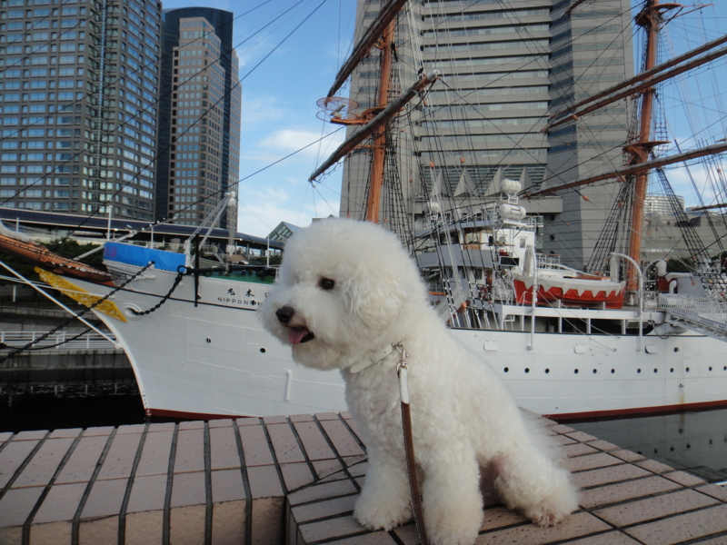 f:id:cocochanman:20110831191225j:image:w500