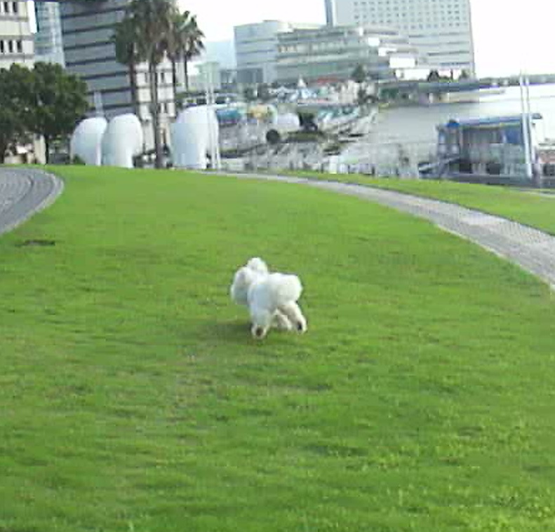 f:id:cocochanman:20110831191331j:image:w400:right