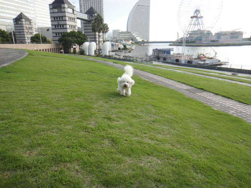 f:id:cocochanman:20110831191654j:image:w500