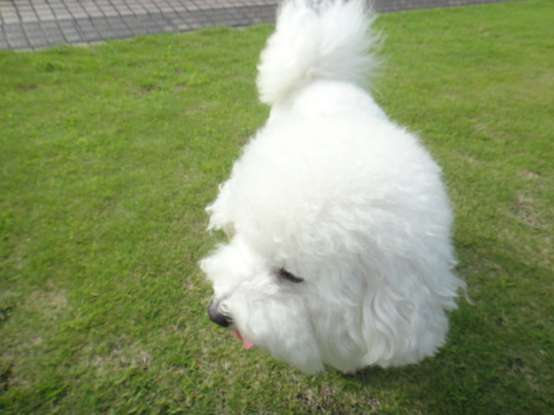 f:id:cocochanman:20110831191736j:image:w500