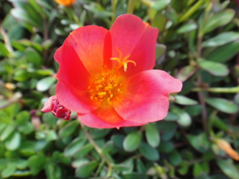 f:id:cocochanman:20110831192111j:image:w500