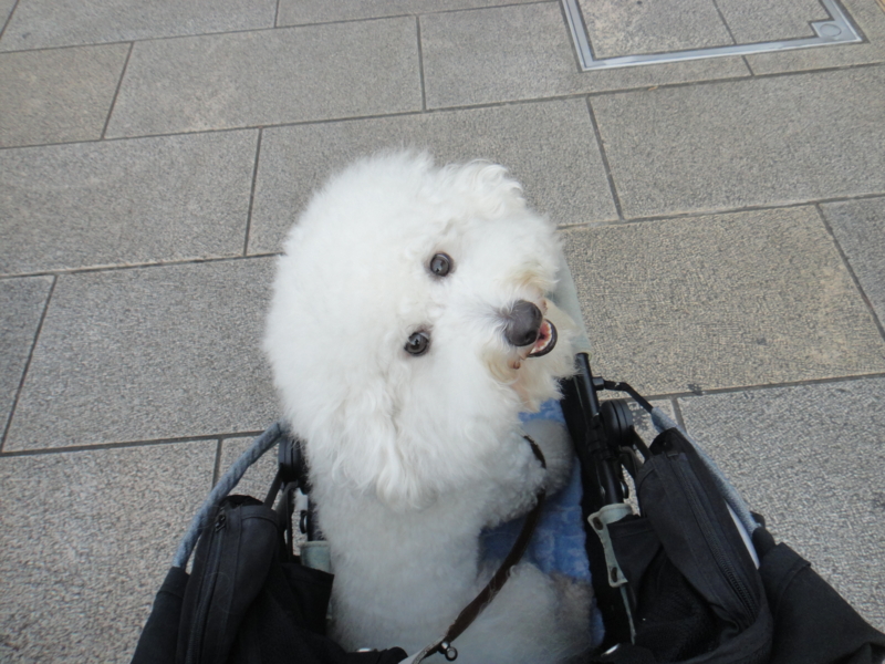 f:id:cocochanman:20110901044835j:image:w500