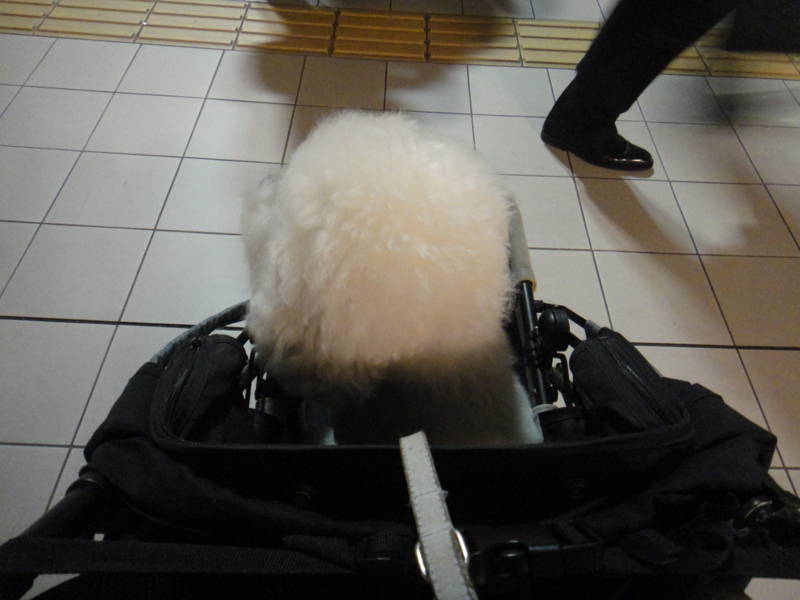 f:id:cocochanman:20110901060614j:image:w500