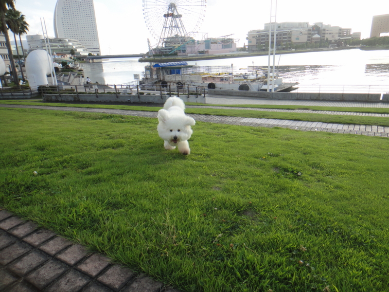 f:id:cocochanman:20110916191549j:image:w640