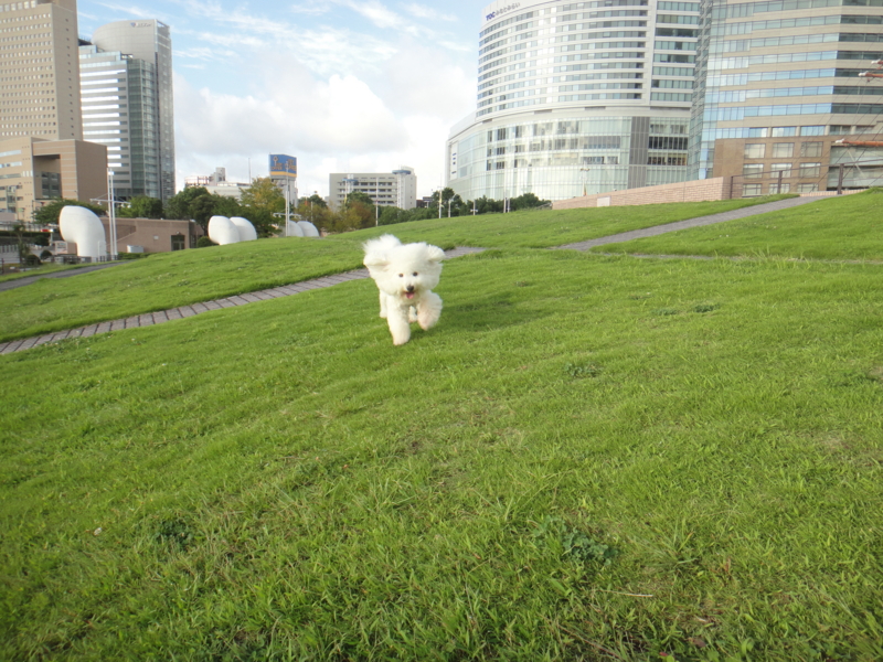 f:id:cocochanman:20110916191747j:image:w640