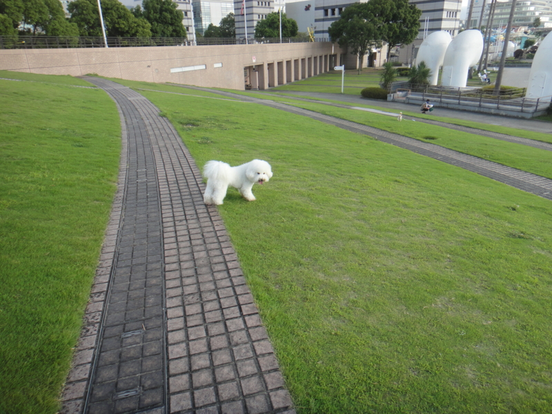 f:id:cocochanman:20110916191914j:image:w640