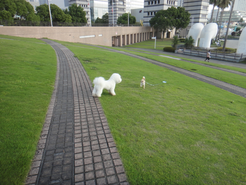 f:id:cocochanman:20110916191919j:image:w640