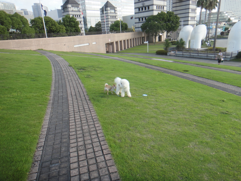 f:id:cocochanman:20110916191925j:image:w640