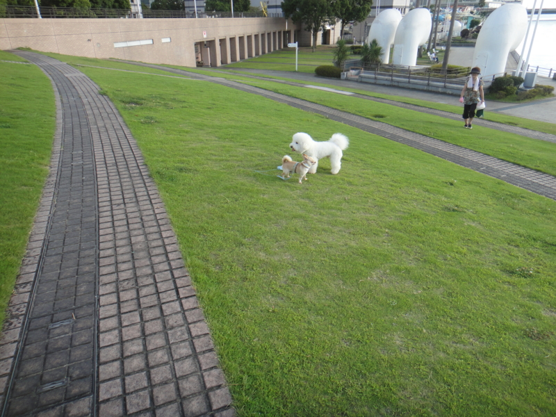 f:id:cocochanman:20110916191933j:image:w640