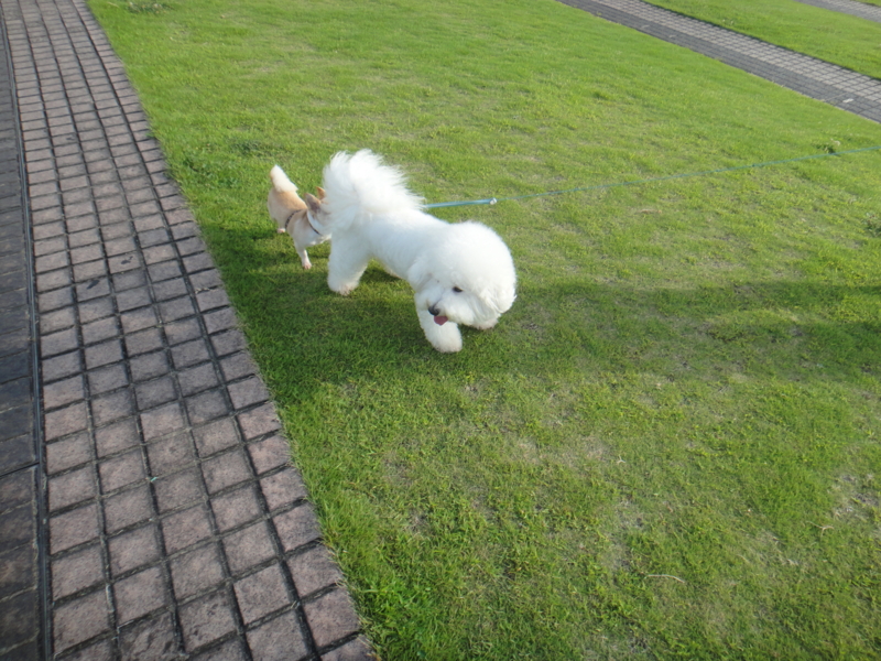 f:id:cocochanman:20110916191951j:image:w640