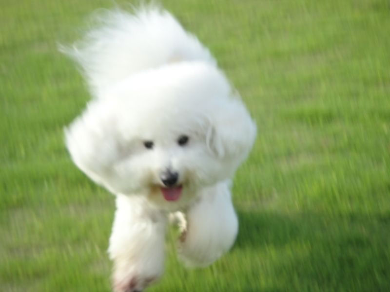 f:id:cocochanman:20110916192028j:image:w640