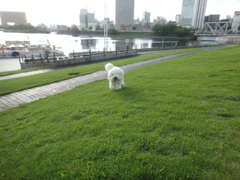 f:id:cocochanman:20110916192129j:image:w640