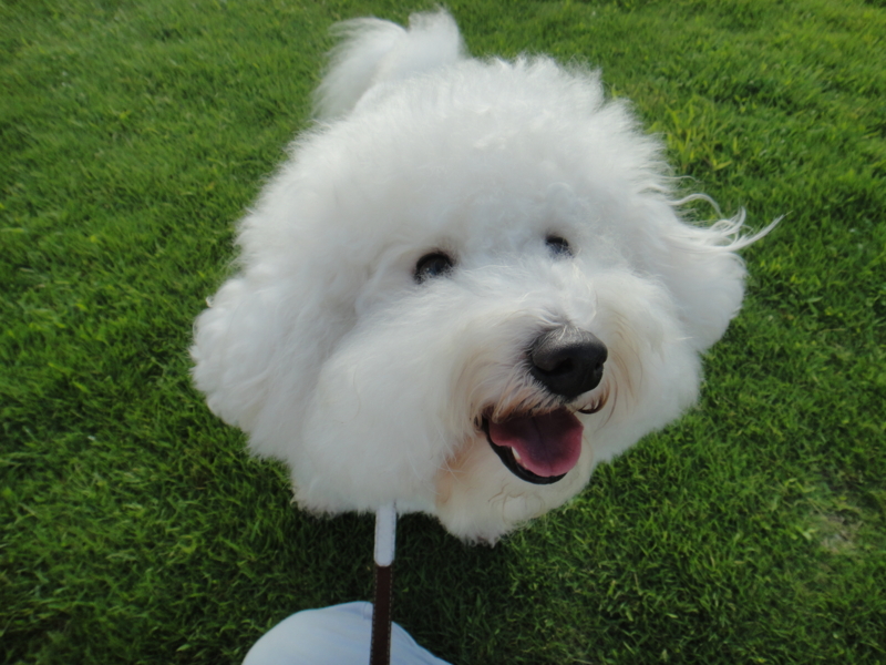 f:id:cocochanman:20110916192202j:image:w640