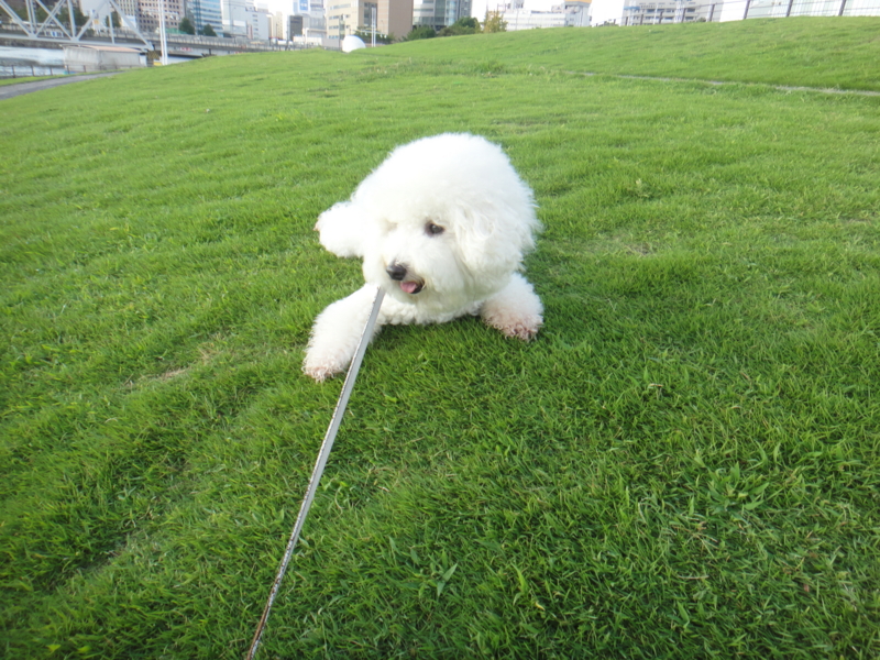 f:id:cocochanman:20110916192255j:image:w640