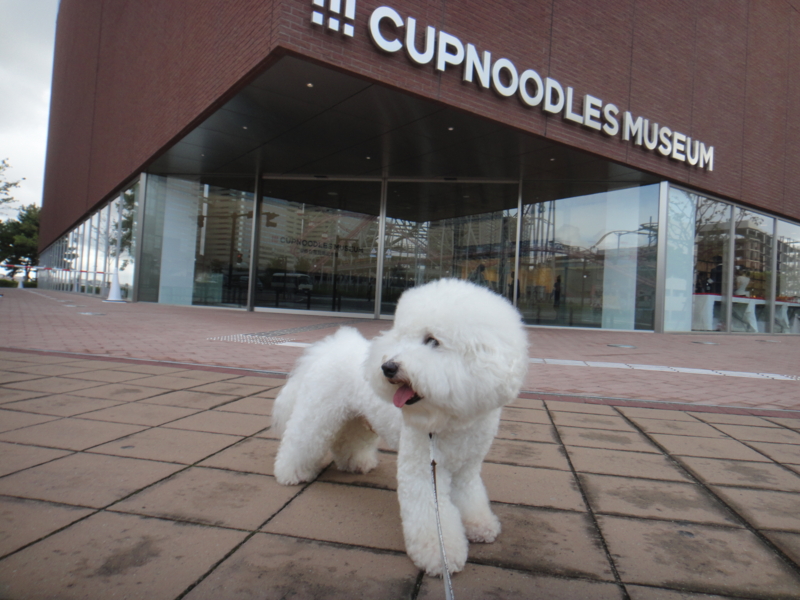 f:id:cocochanman:20110917195514j:image:w360:right