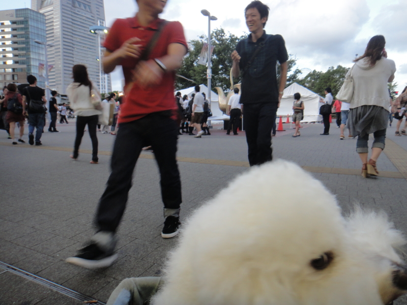 f:id:cocochanman:20110918053405j:image:w640
