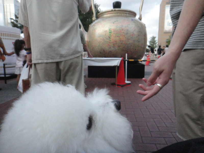 f:id:cocochanman:20110918053520j:image:w640