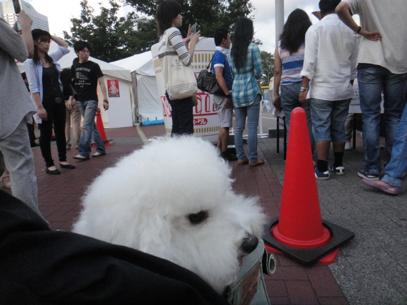 f:id:cocochanman:20110918053658j:image:w640