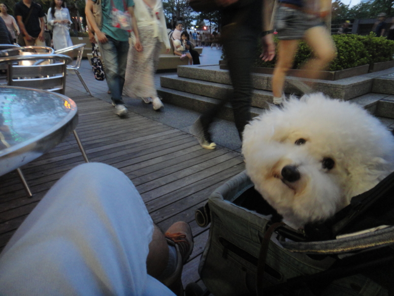 f:id:cocochanman:20110918055227j:image:w640