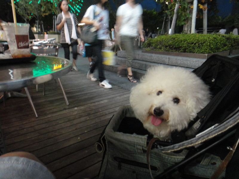 f:id:cocochanman:20110918061419j:image:w640