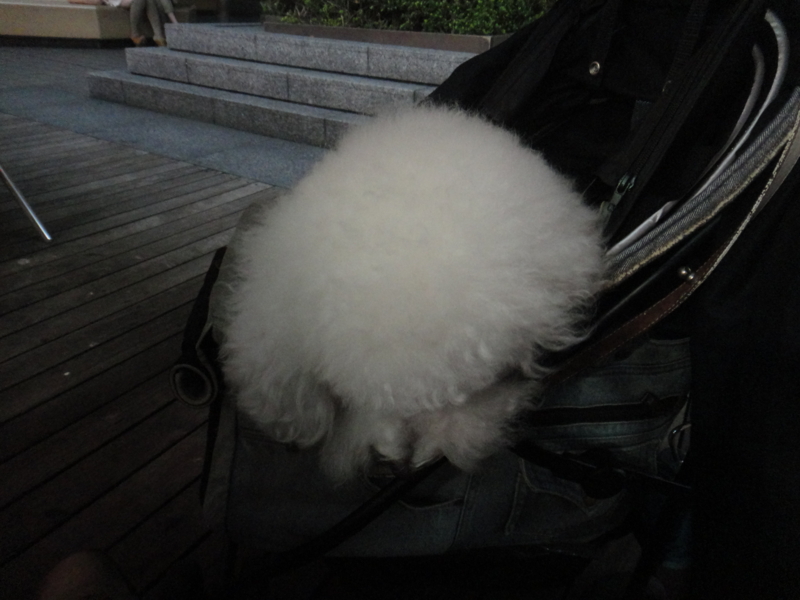 f:id:cocochanman:20110918061712j:image:w640