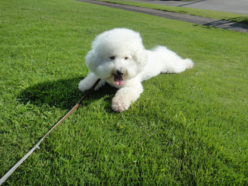 f:id:cocochanman:20110918195657j:image:w640