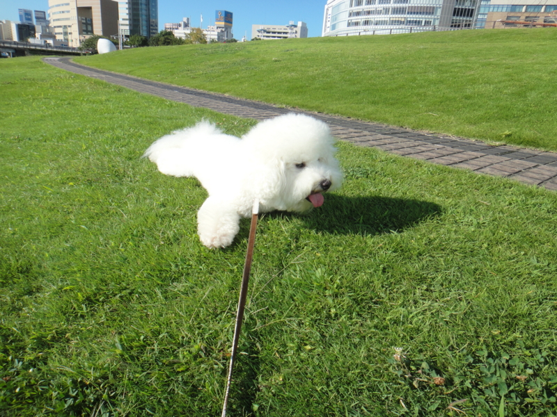 f:id:cocochanman:20110918195754j:image:w640