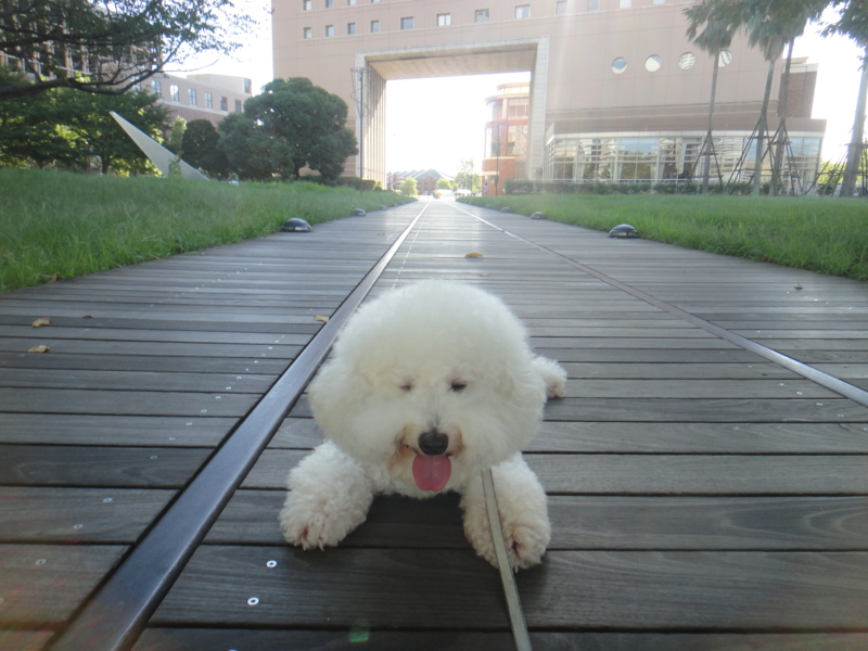 f:id:cocochanman:20110918201230j:image:w300:right
