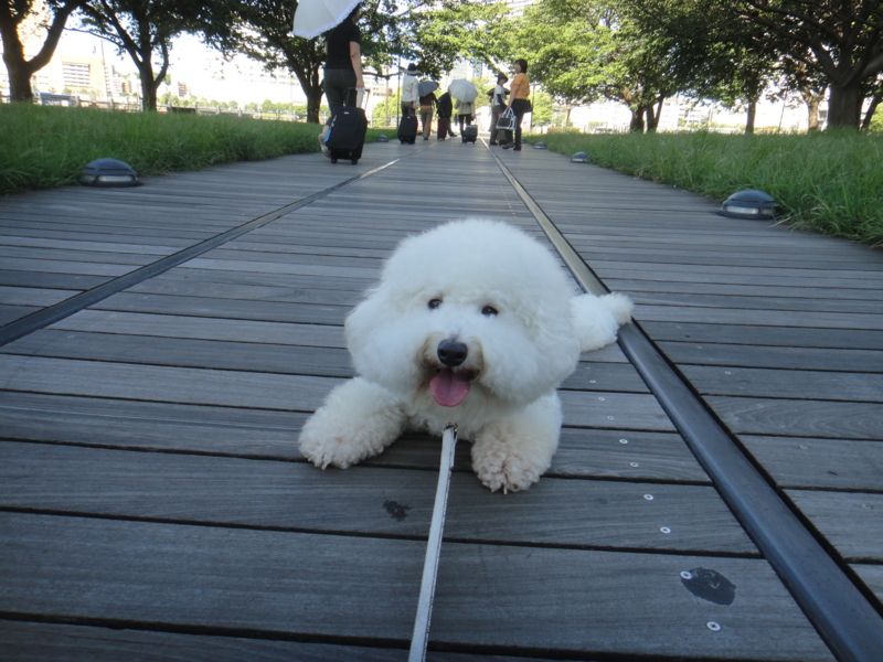f:id:cocochanman:20110918201445j:image:w640