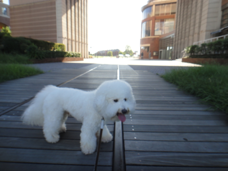 f:id:cocochanman:20110918201537j:image:w640
