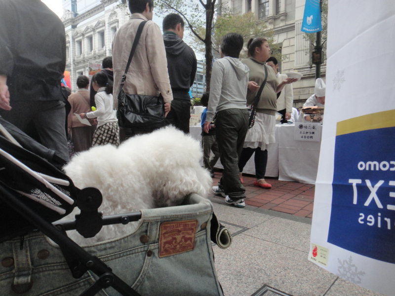 f:id:cocochanman:20111104011610j:image:w500