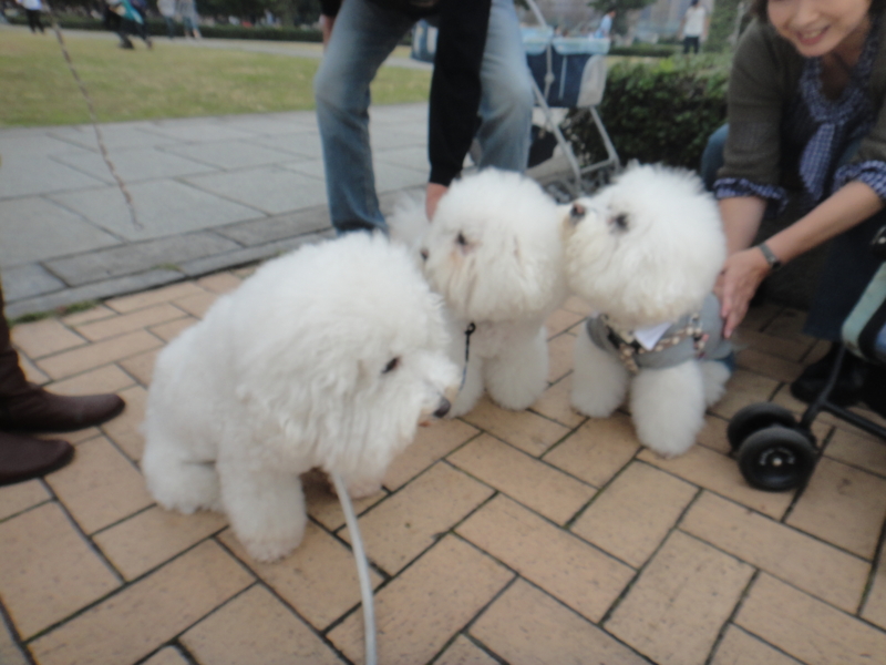 f:id:cocochanman:20111104025052j:image:w500