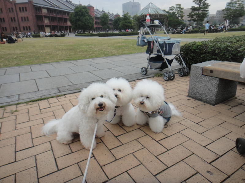 f:id:cocochanman:20111104025125j:image:w500