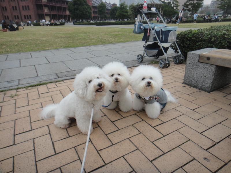 f:id:cocochanman:20111104025136j:image:w500