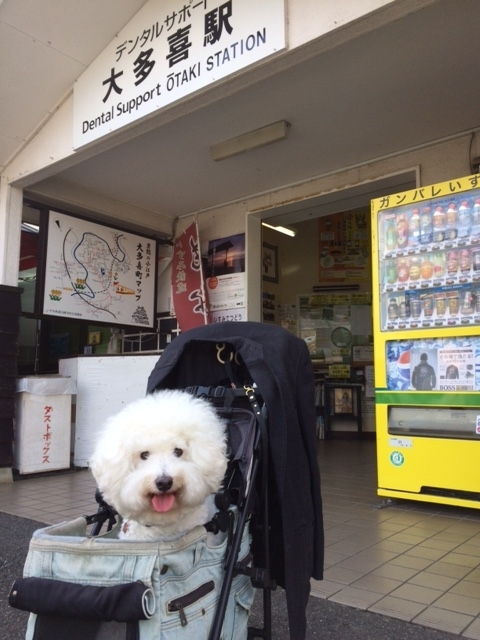 f:id:cocochanman:20171008143330j:image:w360:left