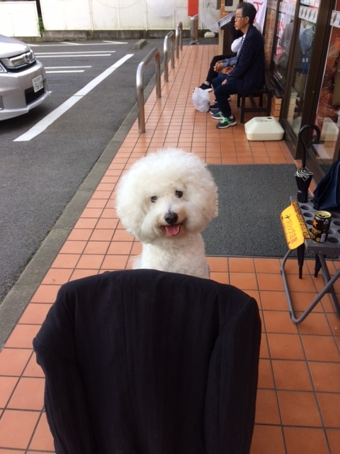 f:id:cocochanman:20171008151831j:image:w360:right