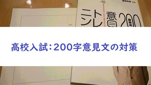 高校入試 0字意見文 作文のおすすめ対策方法 Coco S Life オンライン英会話と教育と