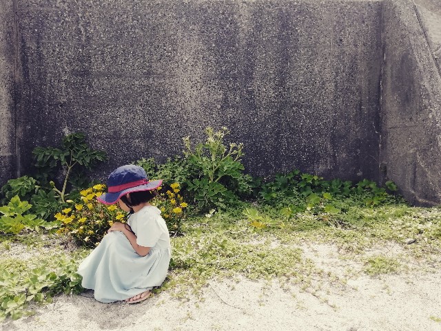 f:id:cocohuglife:20190612060435j:image f:id:cocohuglife:20190612060435j:image