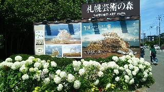 f:id:cocokarakirakira:20190828200831j:plain f:id:cocokarakirakira:20190828200831j:plain