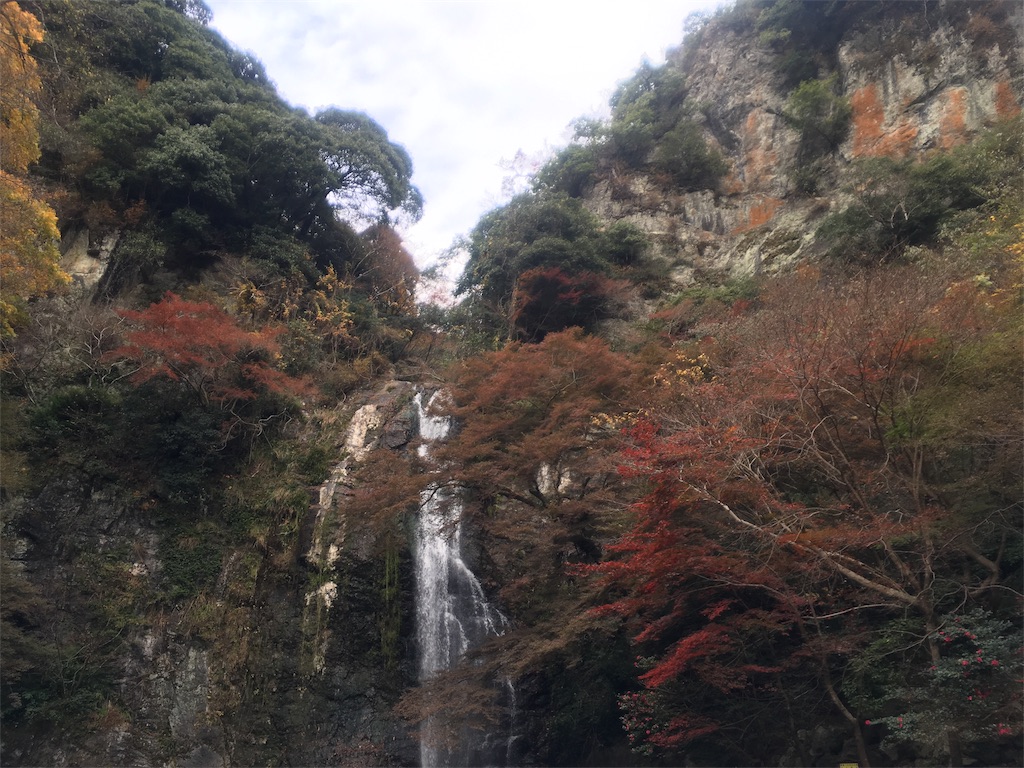 f:id:cocokarax:20170701162605j:image